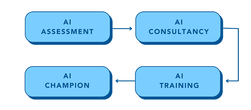 Stages of AI Evolution